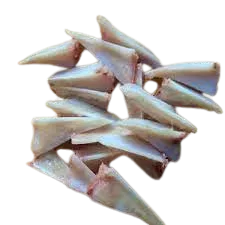 imagen del producto Hueso de Pollo